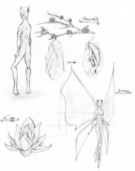 File:User Amannelle Plenua Physiology.jpg