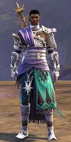 Medium armor