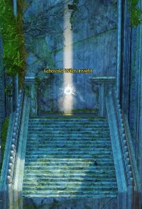 Echovald Wilds Insight- Ferndale Stairs.jpg