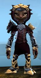 Perfected Envoy armor (medium) asura female front.jpg
