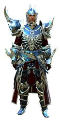 Carapace armor (heavy) human male front.jpg