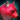 Mini Crimson Shiba Inu.png
