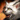 Mini White Journeykin.png