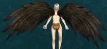 Black Feather Wings Glider.jpg