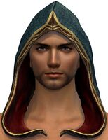 Artisan Zharra's Hood.jpg