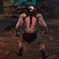 View of Subject Alpha's back.