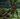 Risen 1 (greatsword).jpg