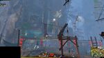 Aspect Gatherer 17 2021.jpg