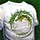 Heart of Thorns Emblem Clothing Outfit.png