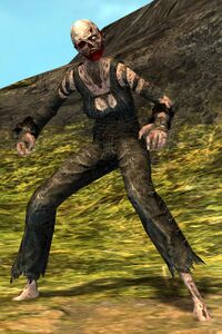 Risen Thrall (human female 2).jpg