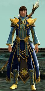 Priest of Dwayna.jpg
