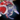 Mini Cozy Wintersday Skimmer.png
