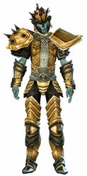 Heritage armor (heavy) sylvari male front.jpg
