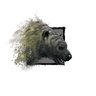 Juvenile Polar Bear.png