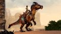 Raptor