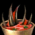 Bowl of Skalefin Soup.png