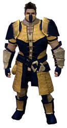 Rawhide armor norn male front.jpg