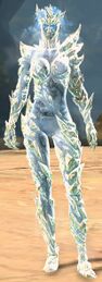 Frozen Regalia Outfit