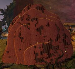 Honeycomb (Mordrem Beekeeper).jpg