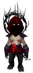 Raiment of the Lich Outfit