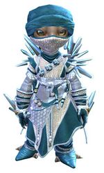 Crystal Nomad Outfit