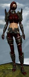True Assassin's Guise Outfit