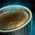 Clove-Spiced Creme Brulee.png