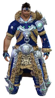 Havroun armor norn male front.jpg
