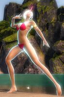 "PoseHigh" Emote front.jpg