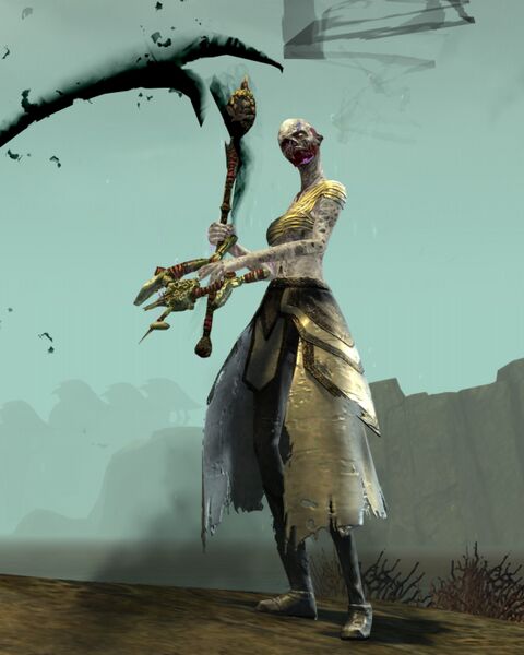 File:Risen Acolyte (female 1).jpg