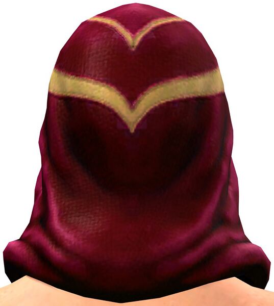 File:Traveling Knight's Hooded Helm back.jpg