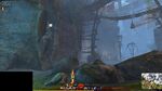 Aspect Gatherer 16 2021.jpg
