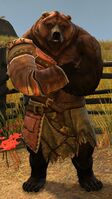 Lowland Kodan heavy 1 (crossed arms).jpg