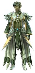 Stately armor sylvari male front.jpg
