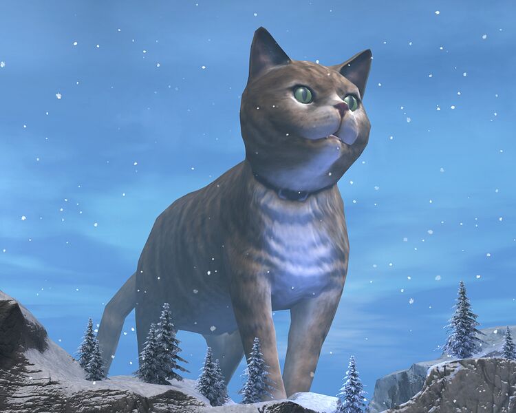 File:Gigantic cat Hoelbrak.jpg