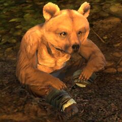 Lowland Kodan Cub medium 2 (sitting).jpg