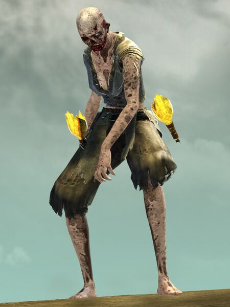 File:Risen Servant (female 1).jpg