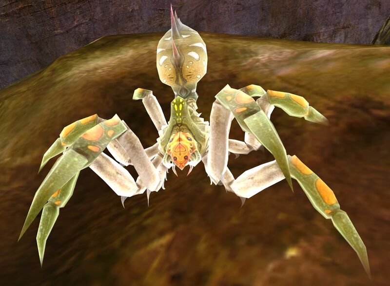 File:Veteran Maguuma Spider.jpg