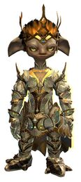 Herald of Aurene Outfit