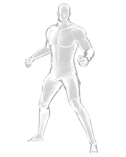 File:Stealth 2.jpg