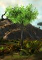 Thumbnail for version as of 05:11, 5 July 2026