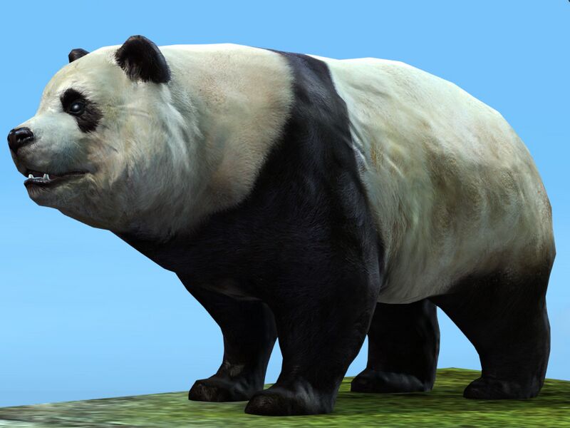 File:Panda.jpg