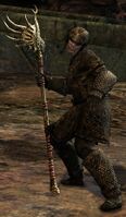 Veteran Risen Contender (alt).jpg