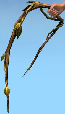 Wisteria.jpg