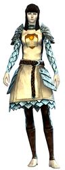 Guild Defender armor norn female front.jpg