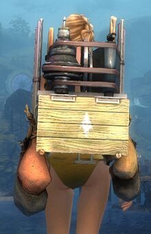 Elegant Huntsman's Backpack.jpg