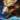 Mini Svanir.png