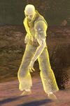 Risen Noble (vision male 1).jpg