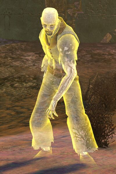 File:Risen Noble (vision male 1).jpg