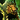 Crown of Urgoz.png